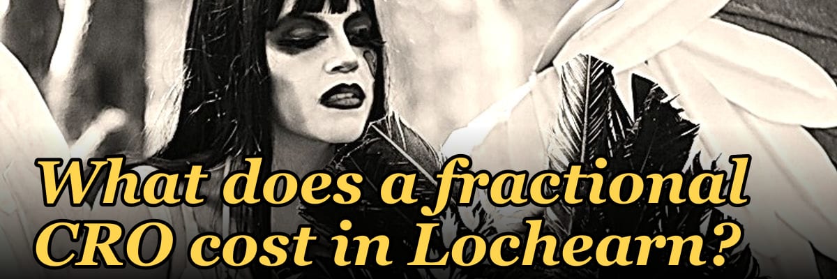 What does a fractional CRO cost in Lochearn?