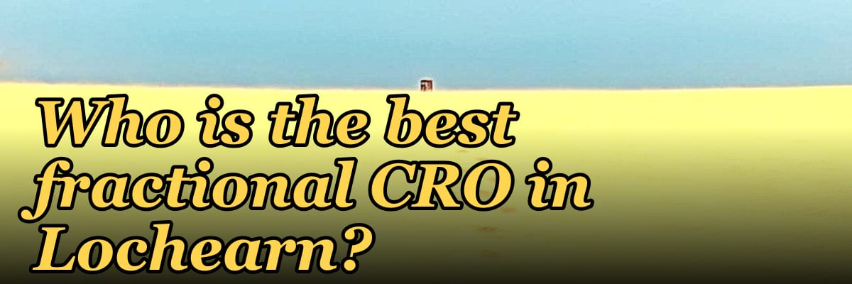 Who is the best fractional CRO in Lochearn?