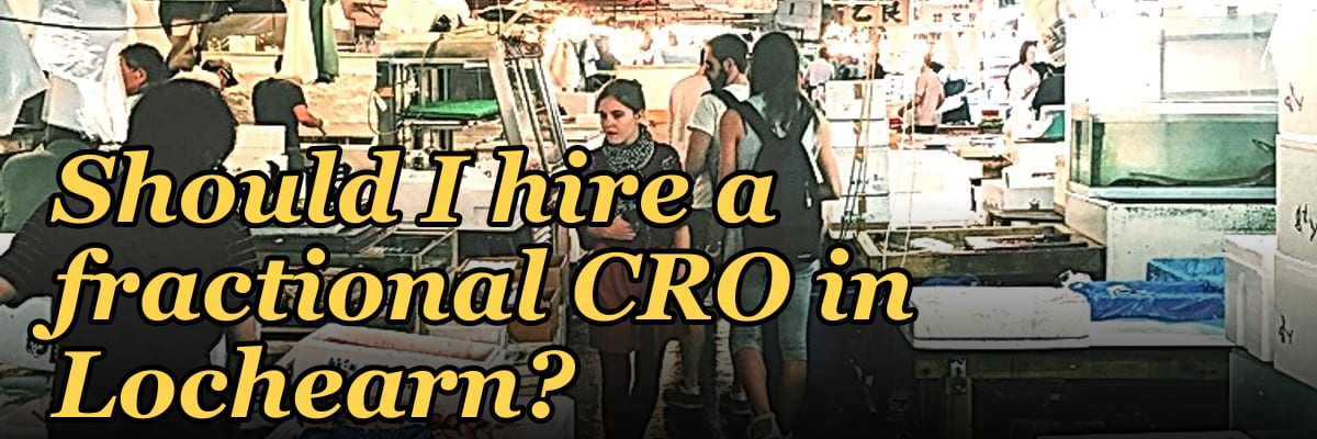 Should I hire a fractional CRO in Lochearn?