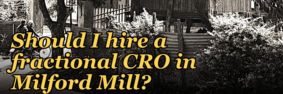 Should I hire a fractional CRO in Milford Mill?
