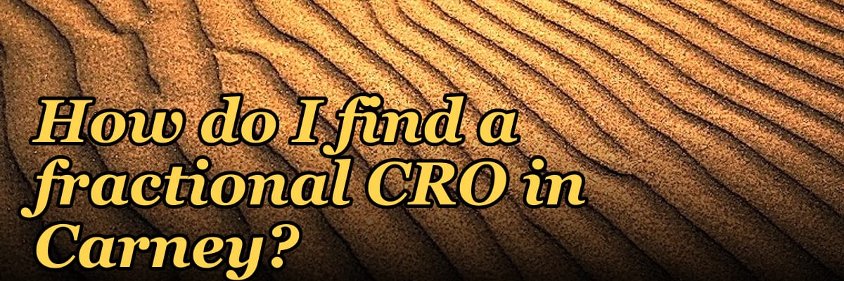 How do I find a fractional CRO in Carney?