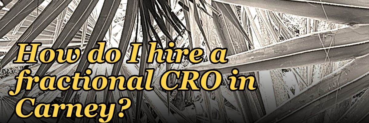 How do I hire a fractional CRO in Carney?