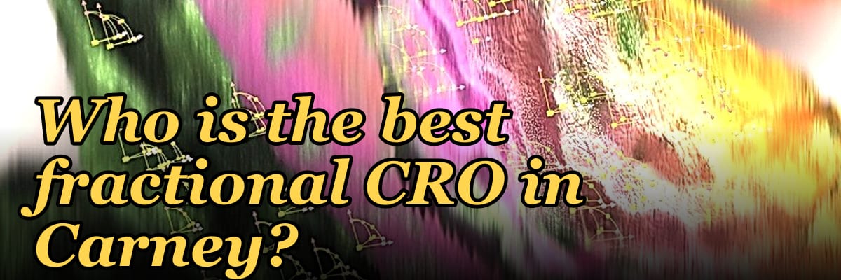 Who is the best fractional CRO in Carney?