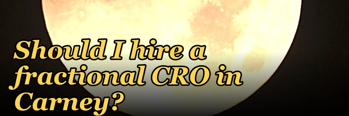 Should I hire a fractional CRO in Carney?