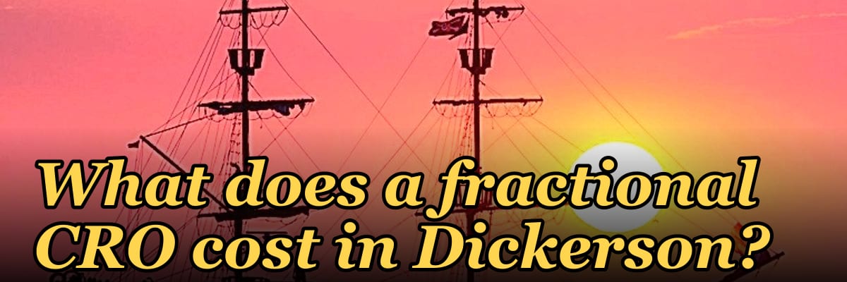 What does a fractional CRO cost in Dickerson?