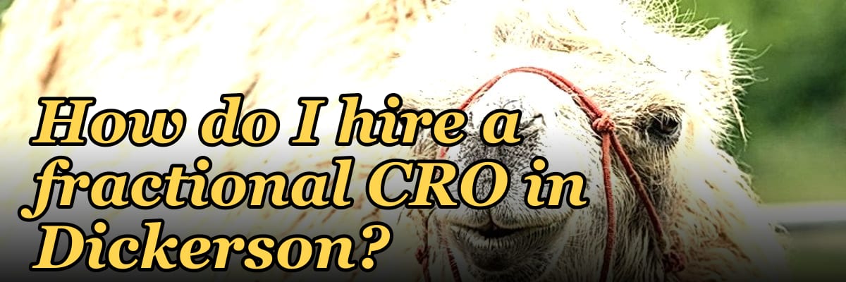How do I hire a fractional CRO in Dickerson?