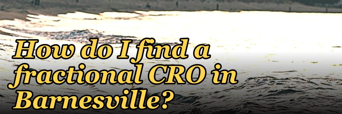 How do I find a fractional CRO in Barnesville?