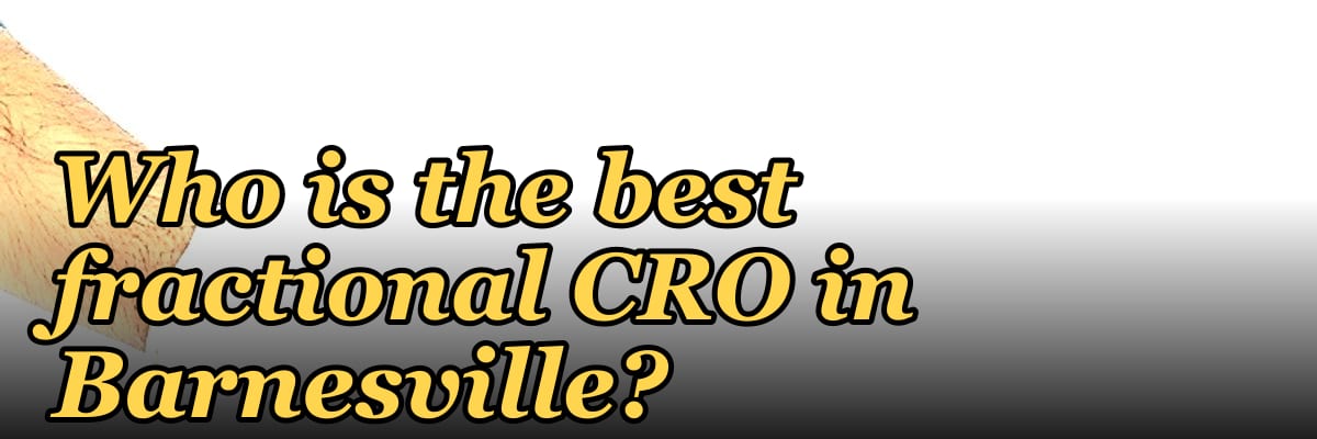Who is the best fractional CRO in Barnesville?