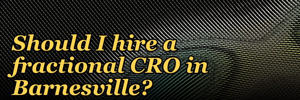 Should I hire a fractional CRO in Barnesville?