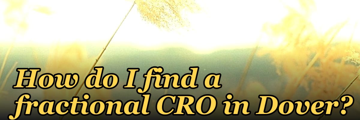 How do I find a fractional CRO in Dover?