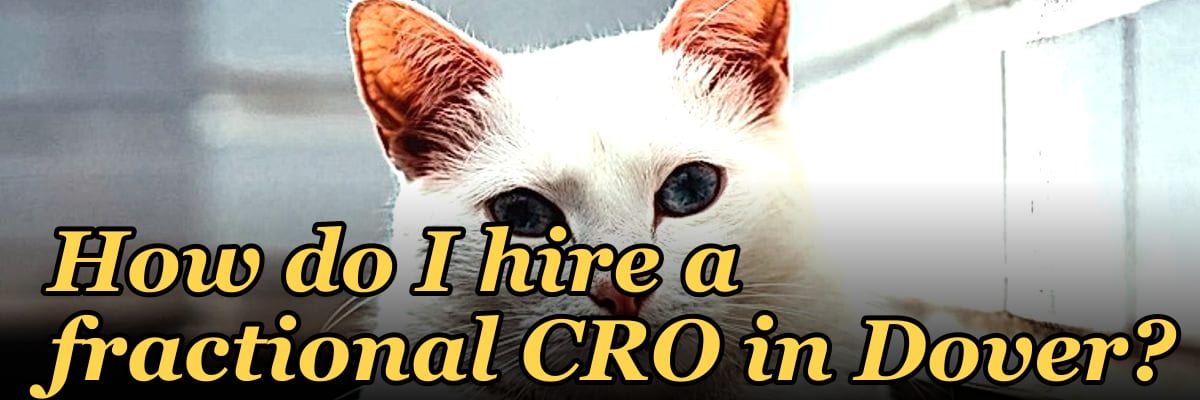 How do I hire a fractional CRO in Dover?