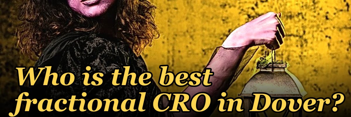 Who is the best fractional CRO in Dover?