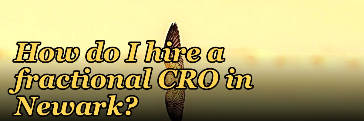How do I hire a fractional CRO in Newark?