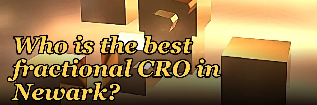 Who is the best fractional CRO in Newark?