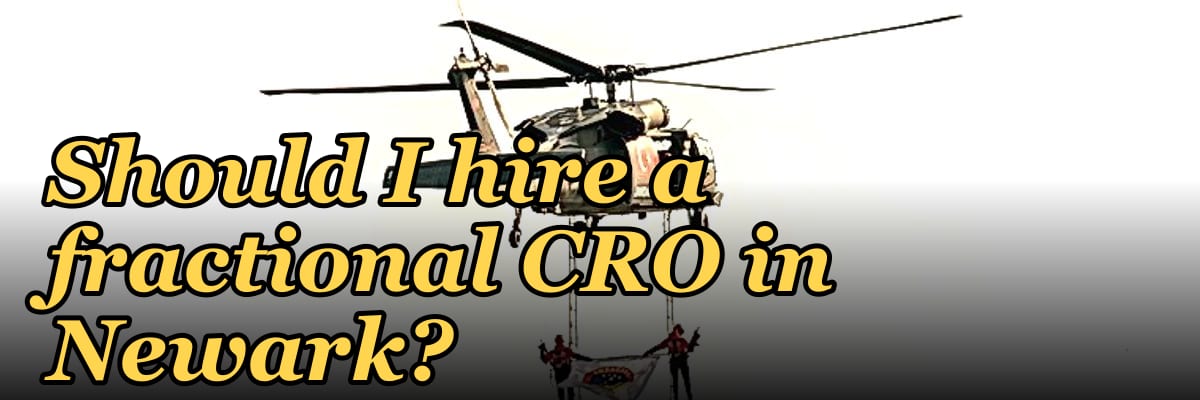 Should I hire a fractional CRO in Newark?