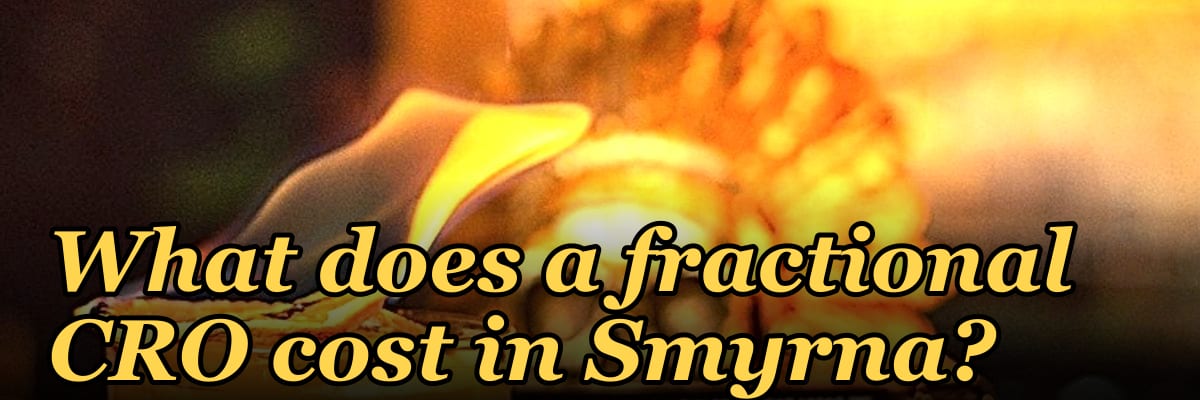What does a fractional CRO cost in Smyrna?