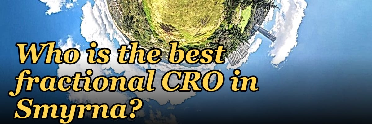 Who is the best fractional CRO in Smyrna?