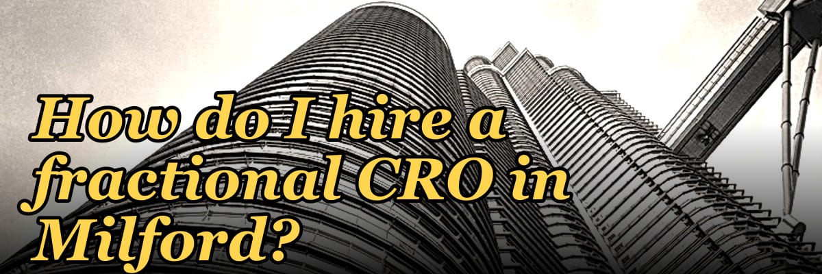 How do I hire a fractional CRO in Milford?
