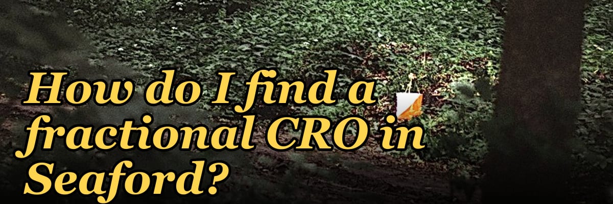 How do I find a fractional CRO in Seaford?