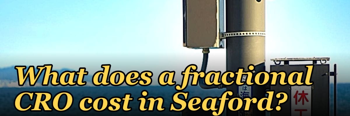 What does a fractional CRO cost in Seaford?