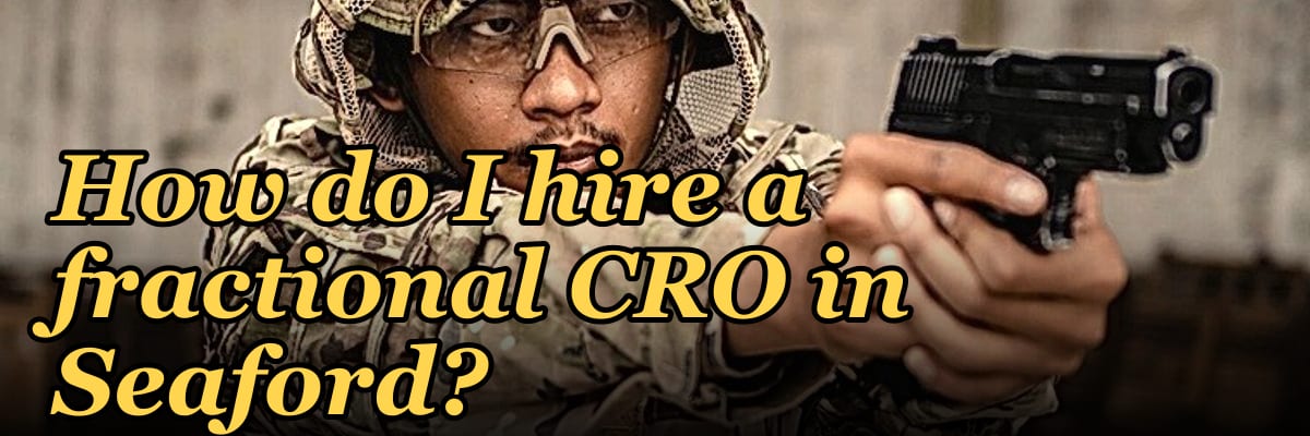 How do I hire a fractional CRO in Seaford?