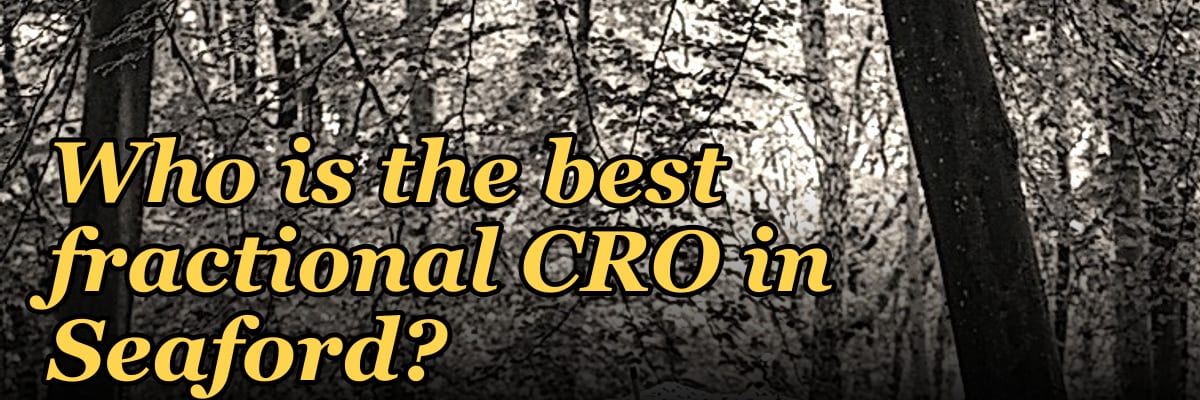 Who is the best fractional CRO in Seaford?