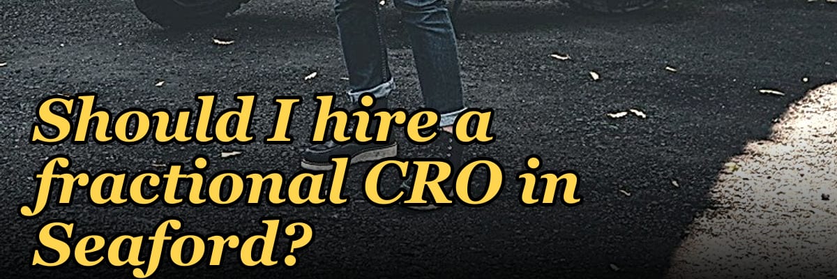 Should I hire a fractional CRO in Seaford?