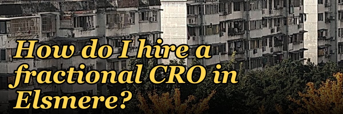 How do I hire a fractional CRO in Elsmere?