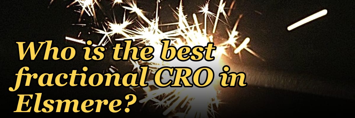 Who is the best fractional CRO in Elsmere?