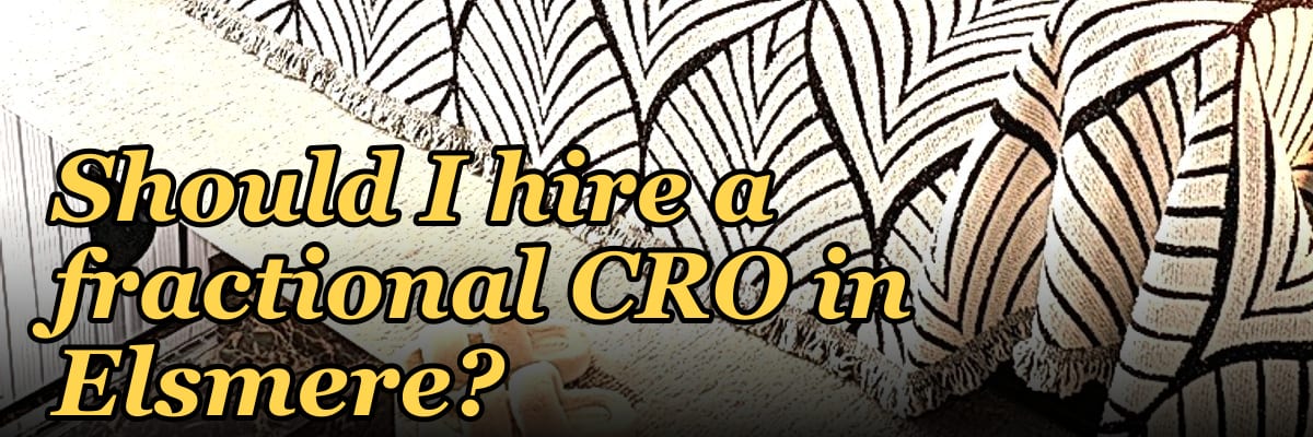 Should I hire a fractional CRO in Elsmere?