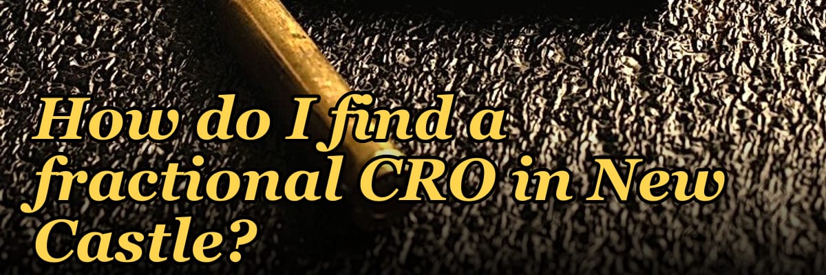 How do I find a fractional CRO in New Castle?