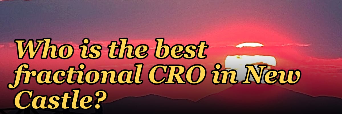 Who is the best fractional CRO in New Castle?