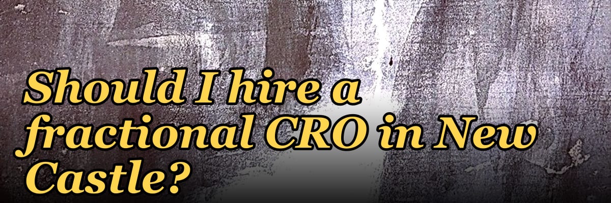 Should I hire a fractional CRO in New Castle?
