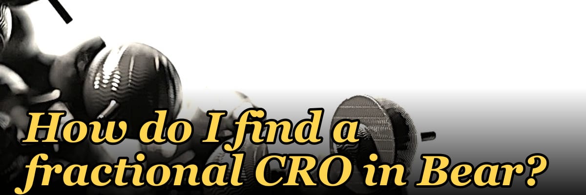 How do I find a fractional CRO in Bear?