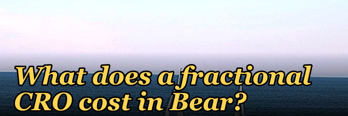 What does a fractional CRO cost in Bear?
