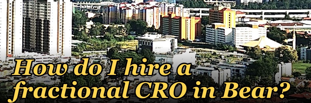 How do I hire a fractional CRO in Bear?