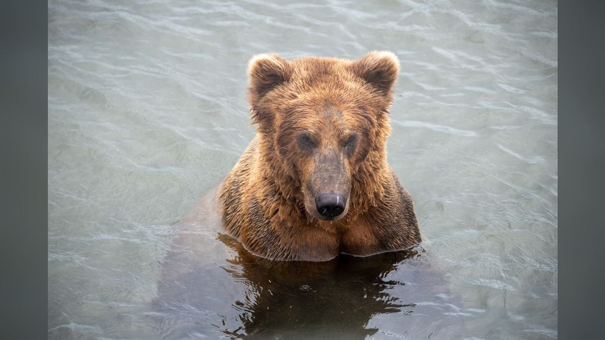 Who is the best fractional CRO in Bear in 2027 — figure 1