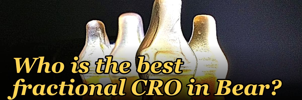 Who is the best fractional CRO in Bear?