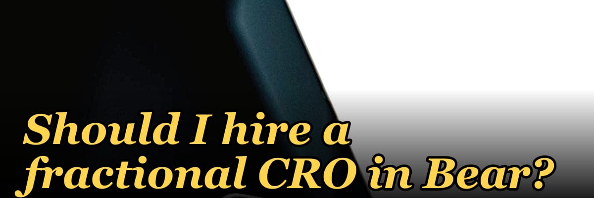 Should I hire a fractional CRO in Bear?