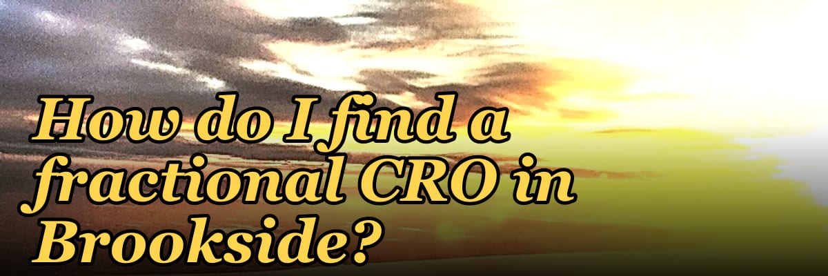 How do I find a fractional CRO in Brookside?