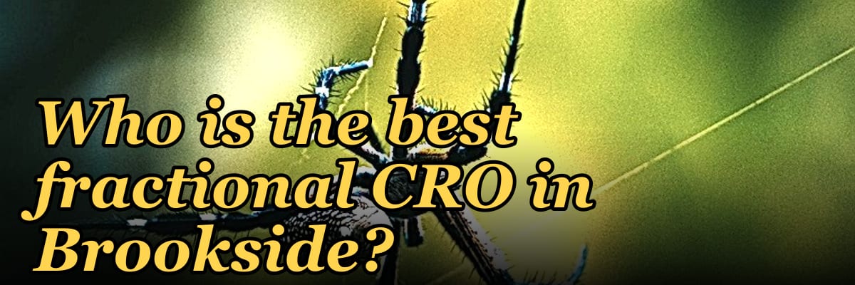 Who is the best fractional CRO in Brookside?