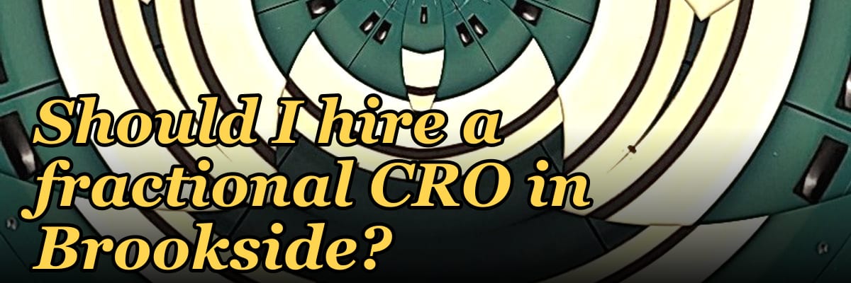 Should I hire a fractional CRO in Brookside?