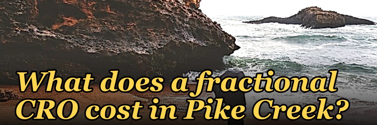 What does a fractional CRO cost in Pike Creek?
