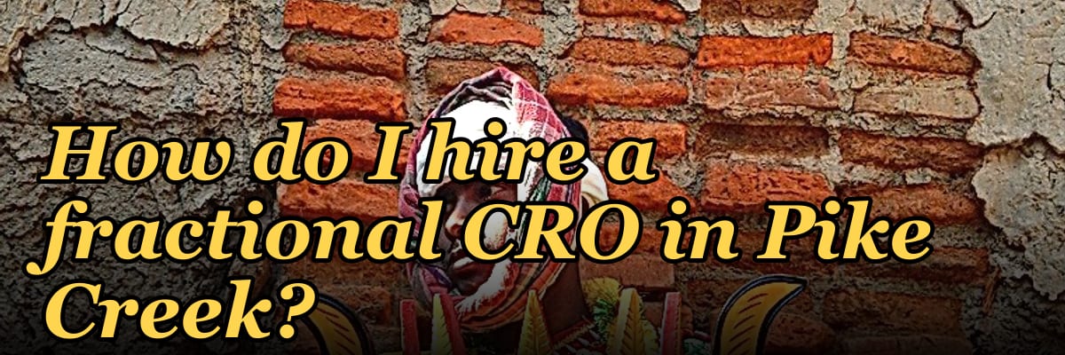 How do I hire a fractional CRO in Pike Creek?