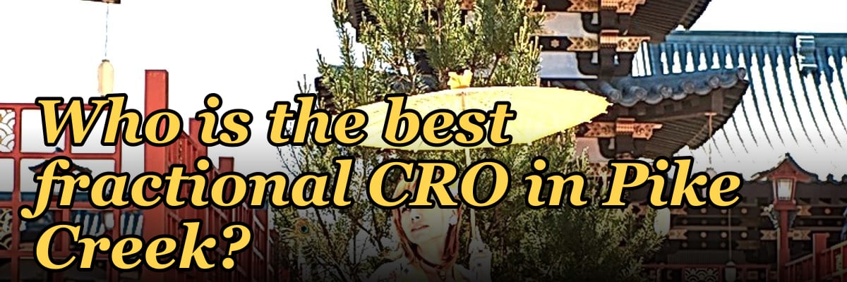Who is the best fractional CRO in Pike Creek?