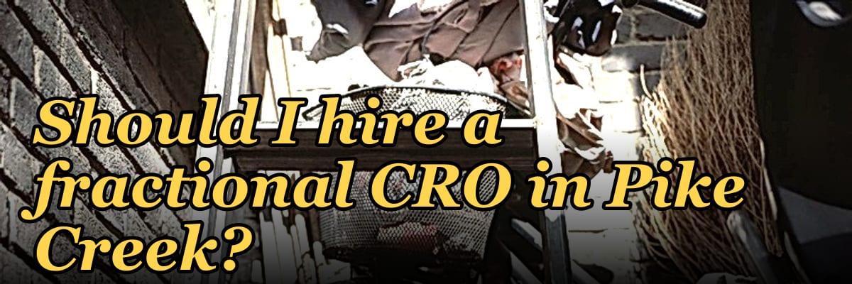 Should I hire a fractional CRO in Pike Creek?
