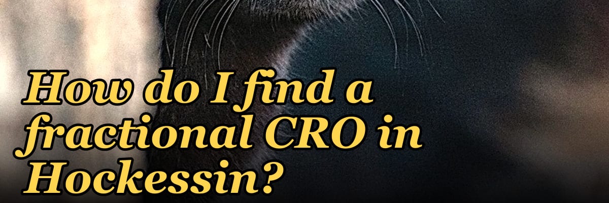 How do I find a fractional CRO in Hockessin?