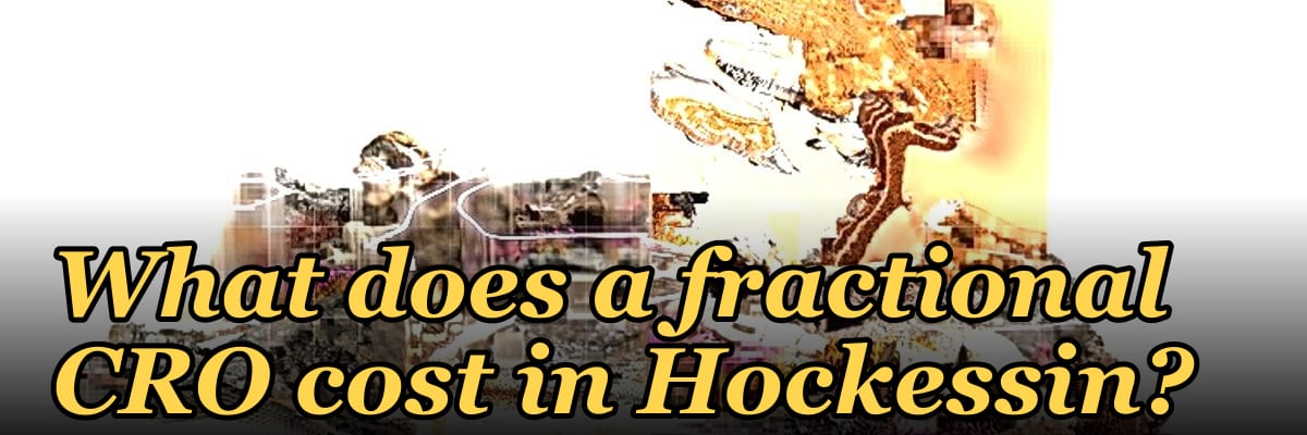 What does a fractional CRO cost in Hockessin?