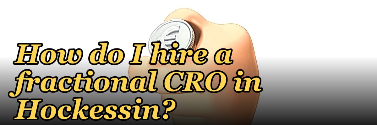 How do I hire a fractional CRO in Hockessin?