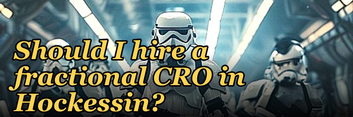 Should I hire a fractional CRO in Hockessin?